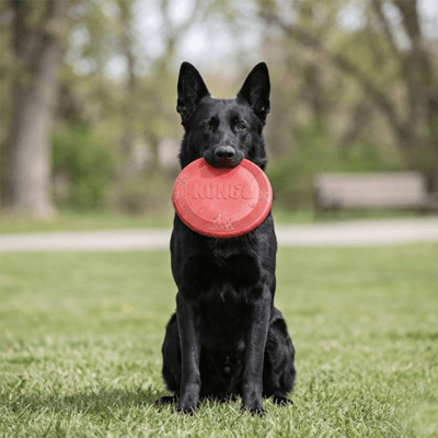 Jouet pour chien Kong | Disque Volant en Caoutchouc