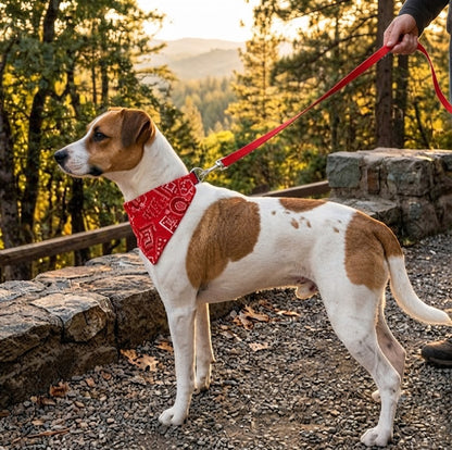 Bandana pour chien large  rouge