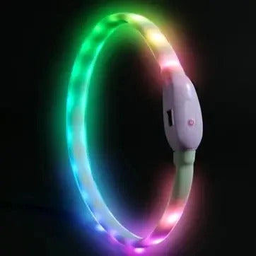 collier lumineux LED multicolore pour chien avec boîtier rechargeable