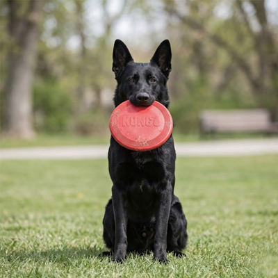 Jouet pour chien Kong | Disque Volant en Caoutchouc