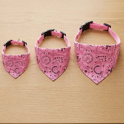 Bandana Chien trois grandeur