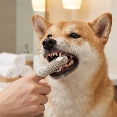 Brosse à dent pour chien jaune, prise en main ergonomique
