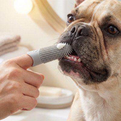 Gros plan sur les picots en silicone de la brosse à dent pour chien
