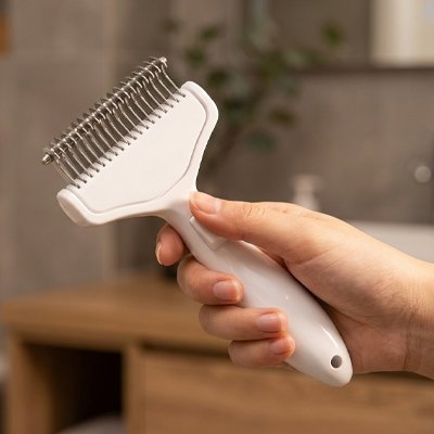 Brosse Chien a poil long et fin