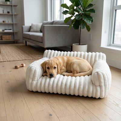 Chiot couché dans un canapé pour chien blanc posé dans un salon lumineux