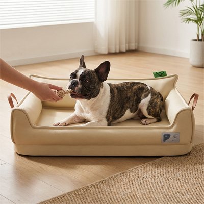 canapé pour petit chien 