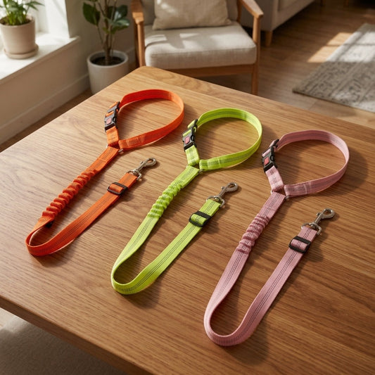 Ceinture de sécurité pour chien en orange, vert et rose, posées sur une table