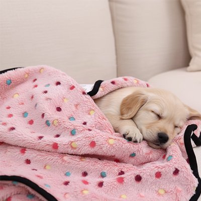 Chiot endormi sous un plaid rose à pois