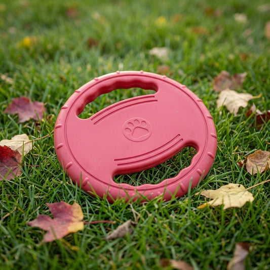 Disque volant pour chien en caoutchouc souple rouge, posé dans l'herbe