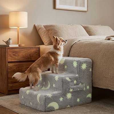 Escalier pour chien de petite race