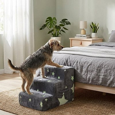 Escalier pour chien et loisir