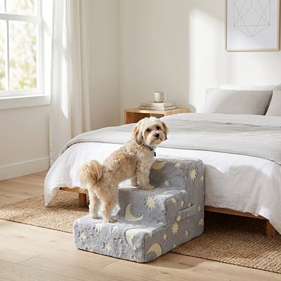 Escalier pour chien 