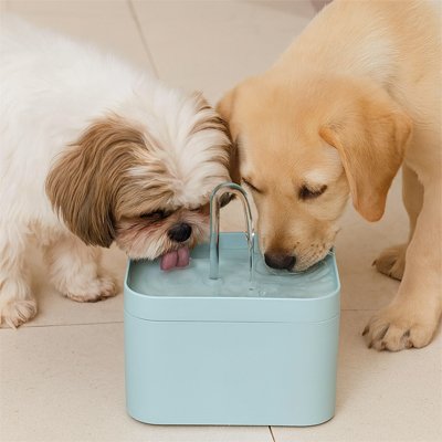 Fontaine a eau Chien bleu pale