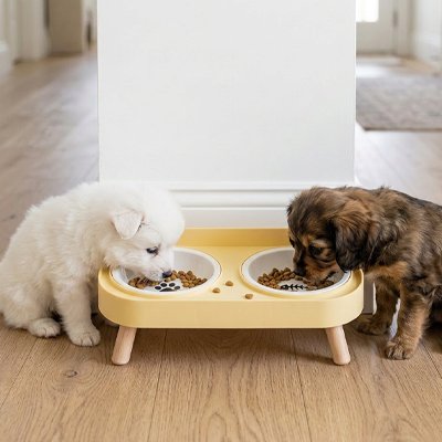 Gamelle pour petit Chien chiot