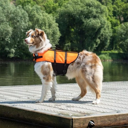 gilet confortable de sauvetage chien