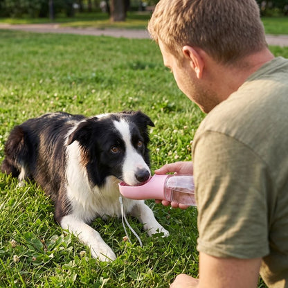 Gourde pour chien coloris gris et rose
