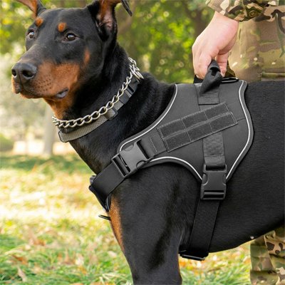 Harnais chien grande taille