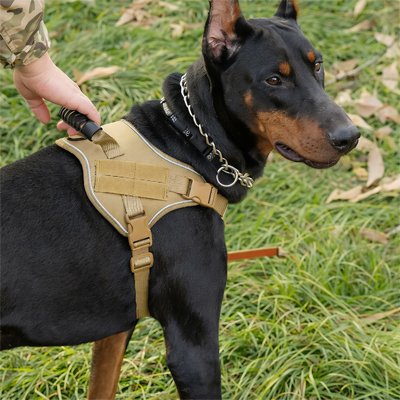 Harnais chien Jaune pour chien grande races