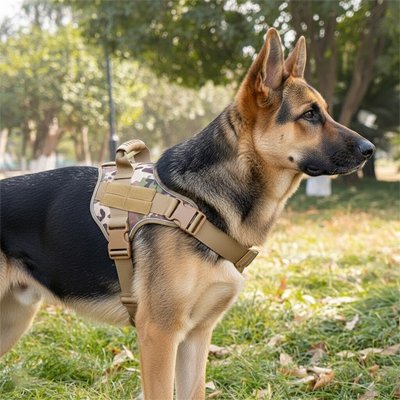 Harnais chien pour berger allemand 