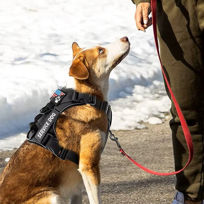 Harnais pour chien anti-traction noir à patchs Service Dog porté par un chien assis dans la neige