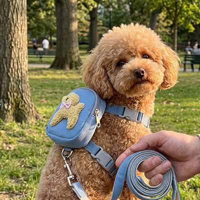 harnais  sac a dos bleu pour petit chien 