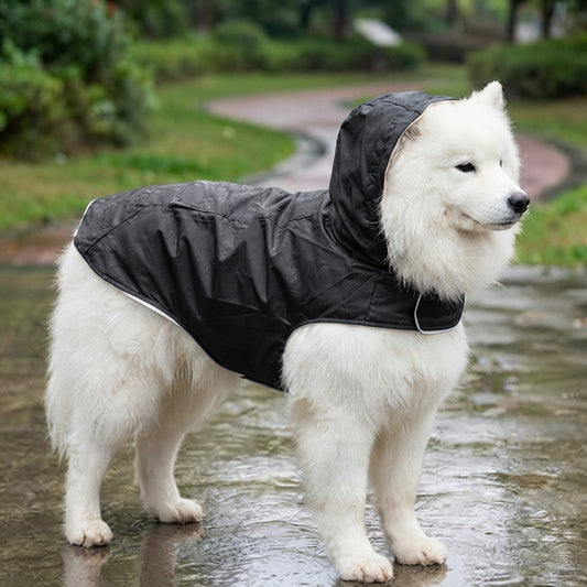 Samoyède portant un imperméable pour chien noir à capuche sous la pluie (grandes tailles sur demande)