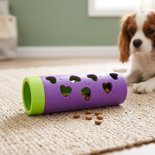Jouet distributeur de friandises pour chien violet et vert, croquettes sorties par les trous en cœur