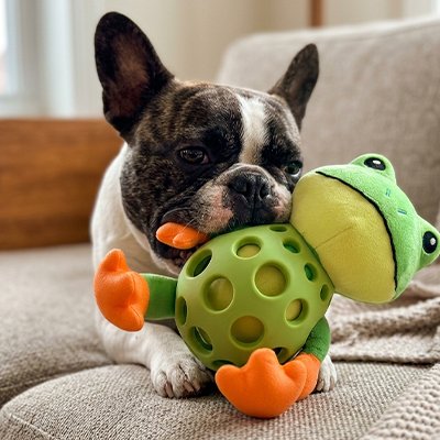 Jouet pour chien​  intelligent 