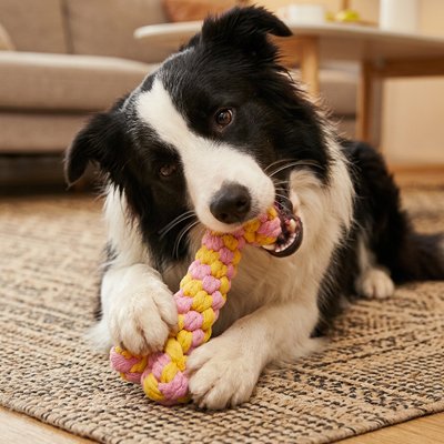 Jouet pour chien​ corde