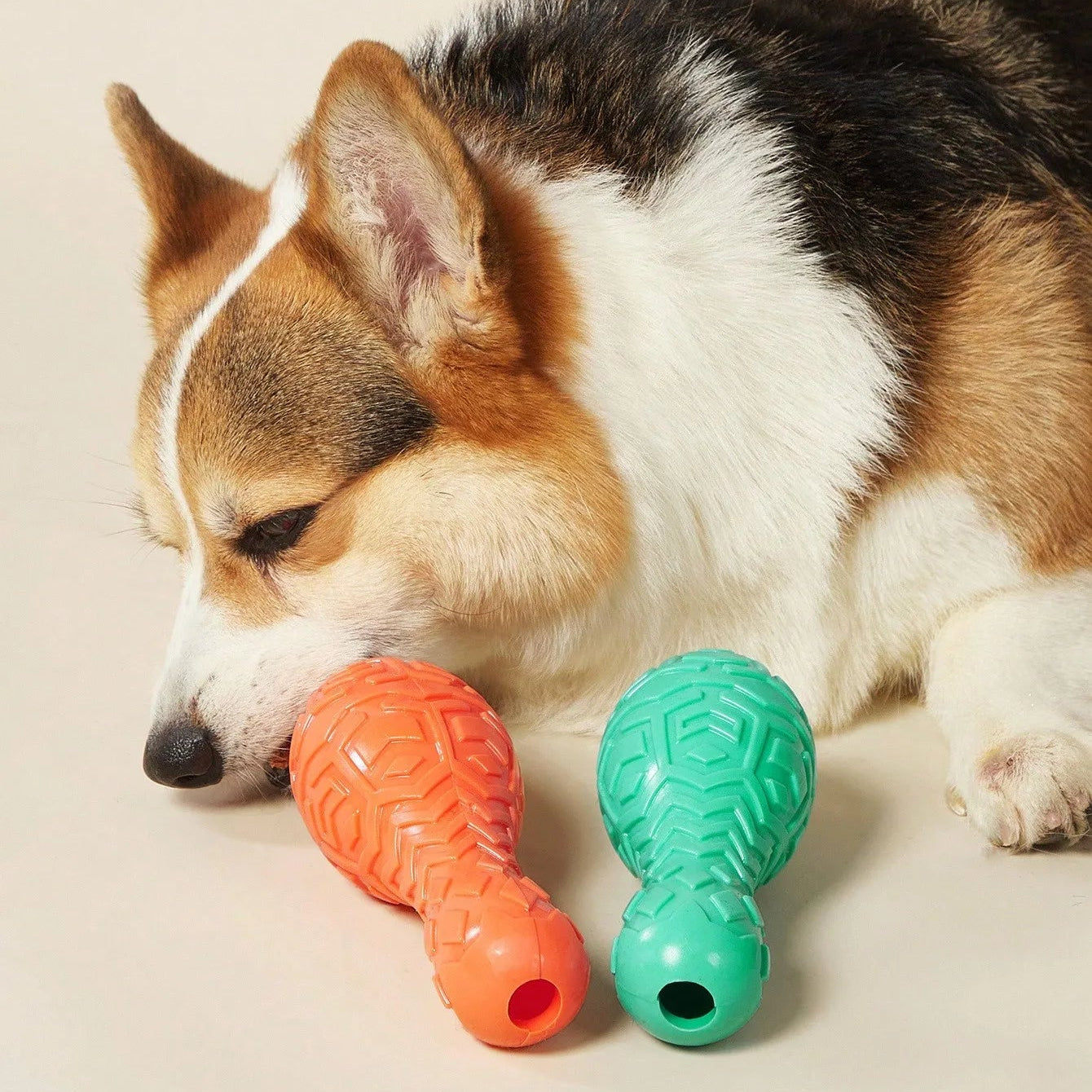 jouet kong pour chien quille