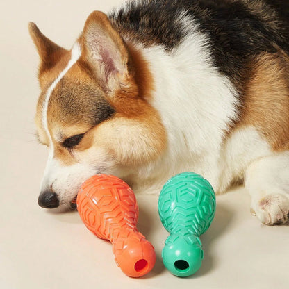 jouet kong pour chien quille