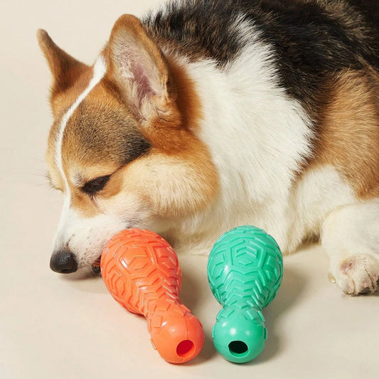 jouet kong pour chien quille