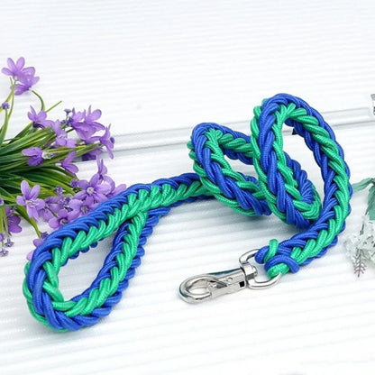 Laisse pour chien tressée bleu et vert avec mousqueton en métal