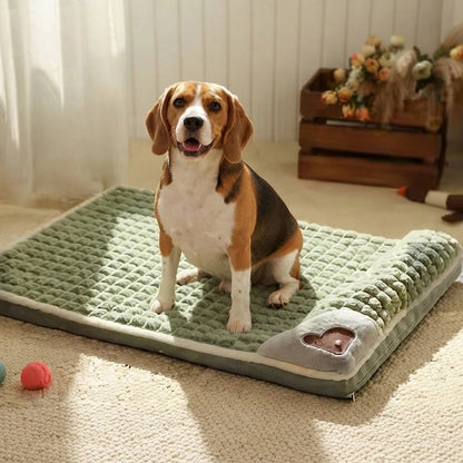 Beagle assis sur un matelas vert matelassé avec bordure blanche