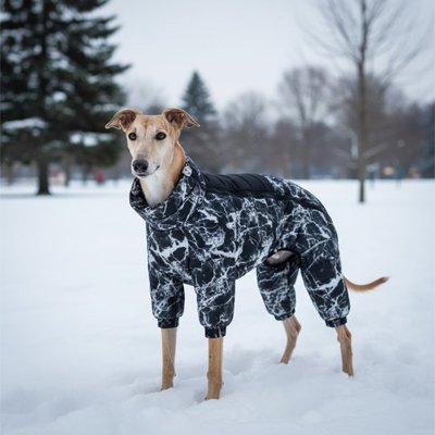 Chien portant le manteau noir marbré dans la neige