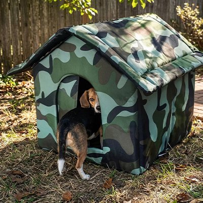 Niche Chien exterieur  vert