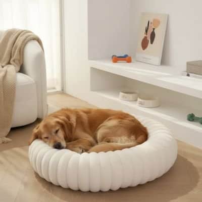 panier pour grand chien 