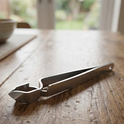 Pince à tique pour chien en acier inoxydable posée sur une table en bois