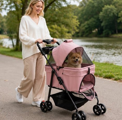 Femme promenant son chien dans une poussette rose au bord d'un lac