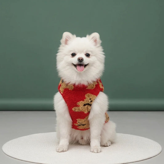 Pull polaire pour chien rouge à motif oursons porté par un spitz nain blanc