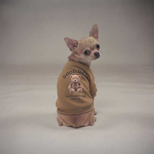 Pull pour chien motif ourson kaki porté par un chihuahua, imprimé « Good Day! » au dos