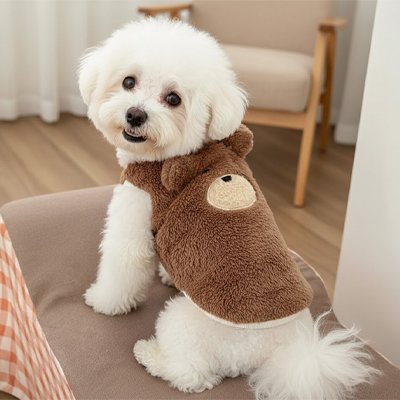 Bichon portant le gilet peluche ourson marron