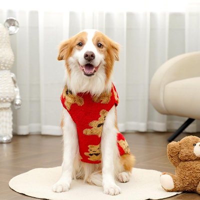 Pull polaire pour chien rouge à motif oursons porté par un chien assis
