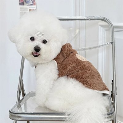 Pull peluche pour chien marron porté par un bichon assis sur une chaise