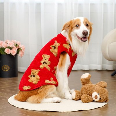 Chien en pull polaire rouge à oursons assis sur un tapis avec une peluche