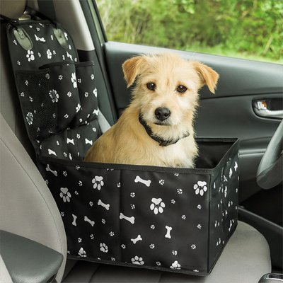 Jeune chien clair assis dans le rehausseur sur le siège passager