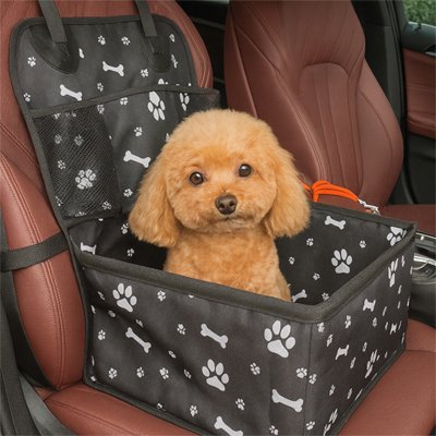 Siège auto chien rehausseur noir à motifs os avec un caniche toy abricot