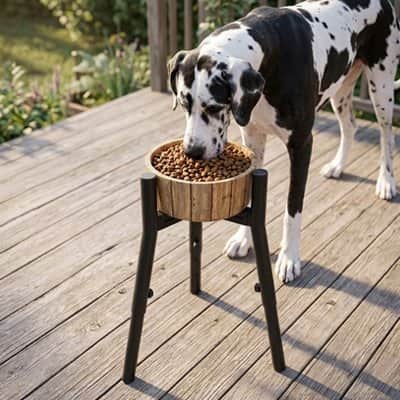Support gamelle Chien