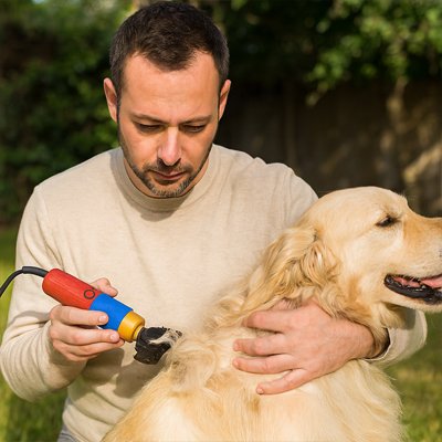 tondeuse pour chien a poil long
