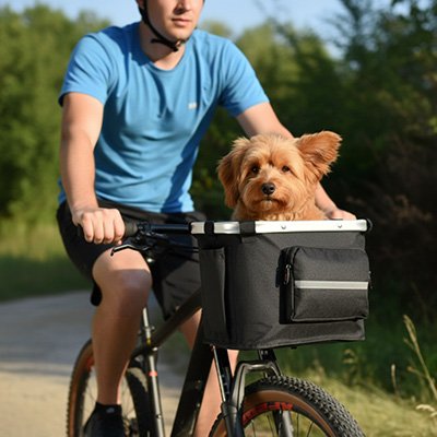 Homme à vélo avec un chien dans le panier avant noir